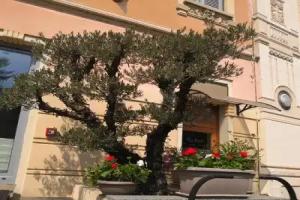 Locanda San Paolo, Monza