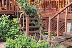 Ruean Mai Chai Khlong, xamphwa