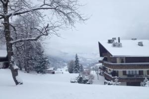 Haus Fless 7 Cottage, Klosters