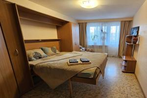 Apartment Nadezhda on Slepneva street 17, Gatchina