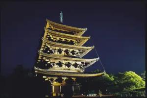 Hotel New Wakasa, Nara