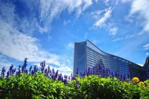 Lavender Garden, Howard Johnson International Hotel Flower City, Kunming
