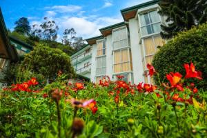 Oak Ray Summer Hill Breeze, Nuwara Eliya