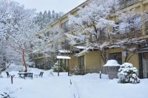 Nikko Hoshinoyado, Nikko