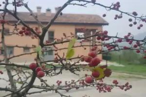 Agriturismo Ben Ti Voglio, Bologna