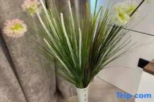 NestOne - Apartment hotels, Tashkent
