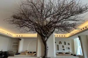 Dibba Sea View Hotel by AMA Pro, Dibba