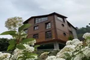 River Didi Hotel, Rize