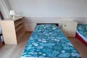 Hotel-hostel Saska, Warsaw
