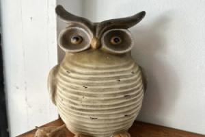 Sleep Owl Jomtien Hostel, Jomtien Beach