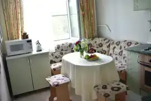 Apartments on Zubkova street, Ryazan