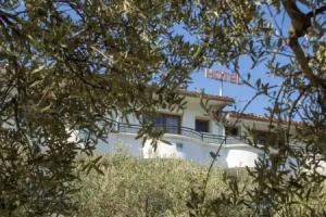 Oasis Hotel, Orik