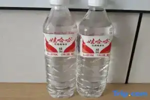 Yunzi Hotel (Dali High-speed Railway Station Erhai Park Branch), Dali