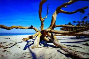 Quartier4u - Villa Arielle, Zingst
