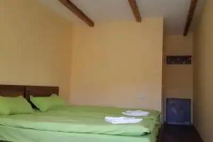 Nest Box Hostel, Kazbegi