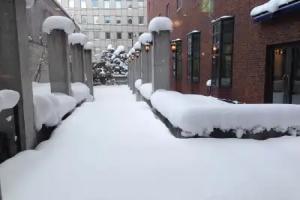 Hotel Sosei Sapporo - MGallery Collection, Sapporo