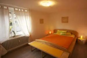 Ferienwohnung Rebberg Apartments, Wolfach