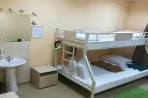 Dachny Hostel, Novosibirsk