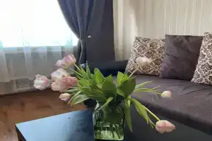 Apartments on Komsomolskaya street 8, Sortavala