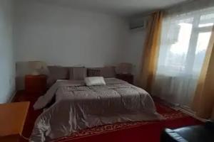 Motel International, Berkovica