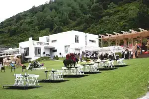 Fiagdon Hotel, Khidakus