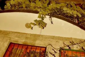 New Day New Way Guest house, Tbilisi