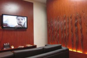 Onkel Inn Airport Sleepbox, La Paz