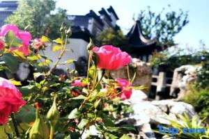 Qinyuan Art Hostel, Suzhou