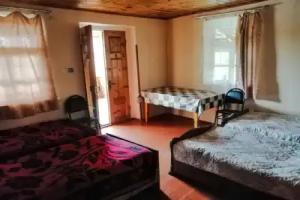 Guesthouse Sagrila, Omalo
