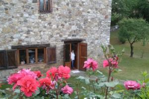 Hotel Colle Etrusco Salivolpi, Castellina in Chianti