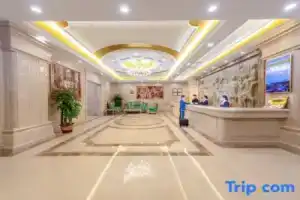 Vienna Hotel (Shenzhen North Railway Station Minzhi Branch), Shenzhen