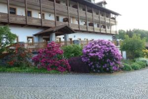 Appartementhaus Osserblick Apartments, Lohbergerhutte
