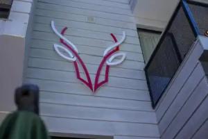 Borjomi UnderWood, Borjomi