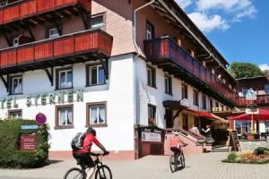Wochner's Hotel-Sternen am Schluchsee Hochschwarzwald, Schluchsee
