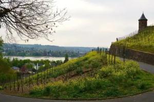 Weinhaus Hoff, Bad Honnef