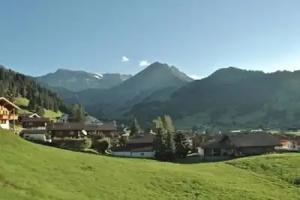 La Sauterelle 12589 Hotel, Adelboden