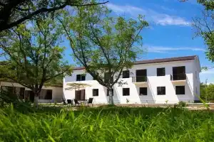 "Цитрус", Pitsunda