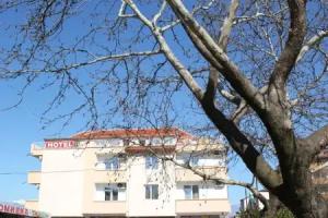 Petra Hotel, Petric