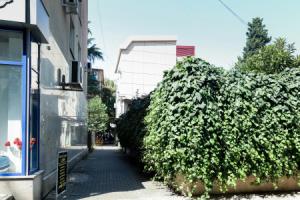 Apartments on Lesnoy lane 26, Sochi