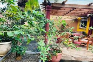 Effi Mountain View Colibri Villa, Eden Island