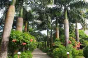 The 90's Hotel, Sauraha