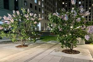 Comfort & Relax Home on Novoalekseevskaya street, Moscow