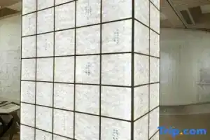 Tangduo Boutique Female Only Hostel (Shenzhen North Railway Station), Shenzhen