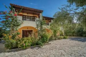 Olga Studios, Vasilikos