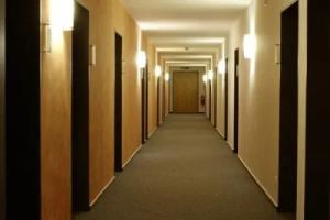 Seminar- und Bewegungshaus Marienfried Cottage, Oberkirch
