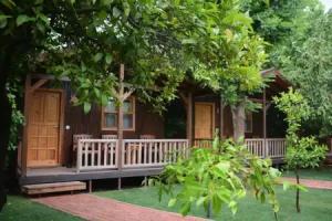 Caretta Caretta Pension, Cirali