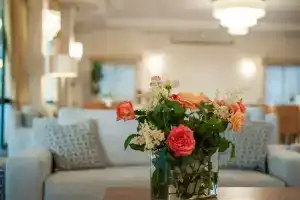 Phoenix Beach Hotel, Tsilivi-Planos