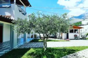 Yard Paradise, Dhermi