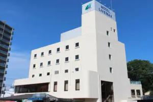 HOTEL LiVEMAX BUDGET Utsunomiya, Utsunomiya