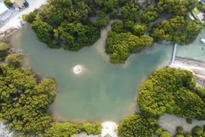 The Bilimbi Guesthouse and Inn, Kanu Huraa